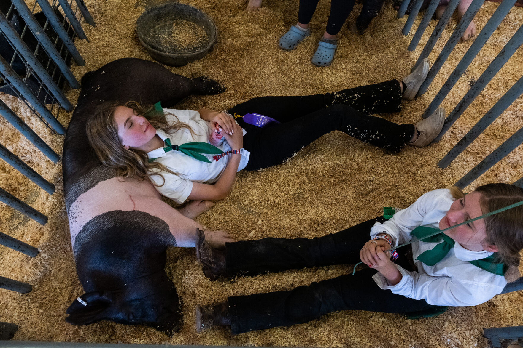 4-H at the Fair